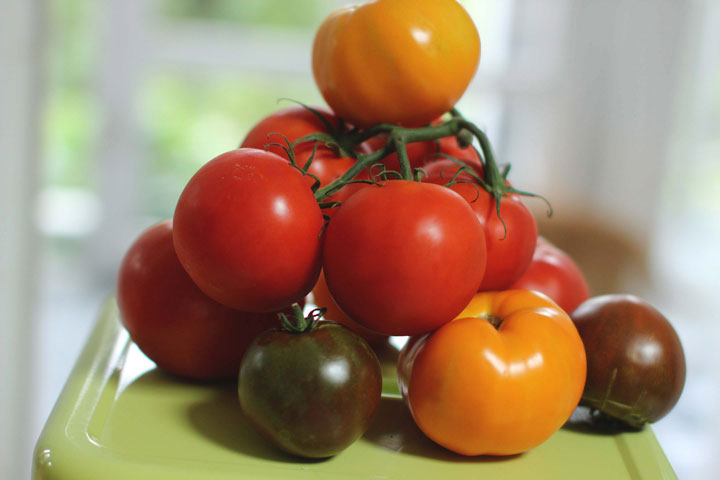 This July 27, 2015 photo shows summers end tomatos in Concord, NH.