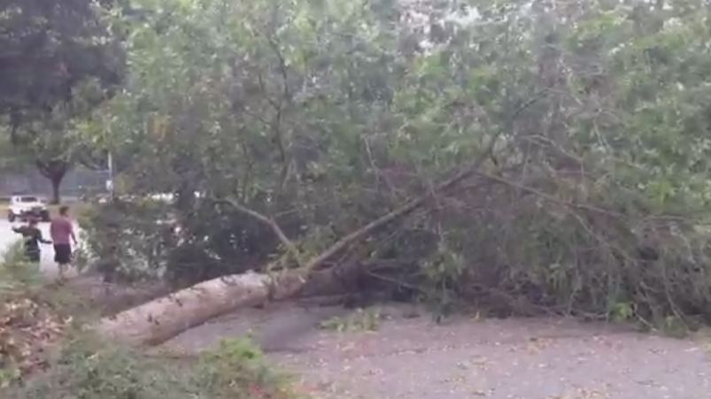 WATCH: Thousands still without power after largest South Coast storm in ...