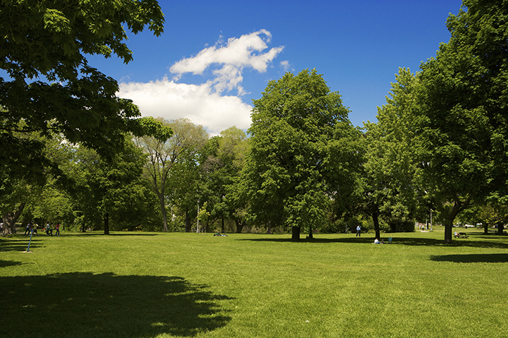 Trinity Bellwoods Park in spring.