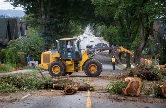 City workers clean up the remains of a large tree that was uprooted during Saturday's windstorm, in Vancouver, B.C., on Sunday August 30, 2015.