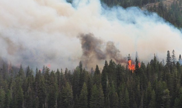 Fire near Alberta’s Waterton National Park 100 per cent contained ...