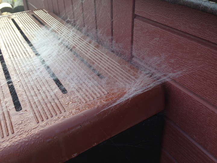 Spider webs adorn a deck south of Winnipeg on Thursday, August 13, 2015