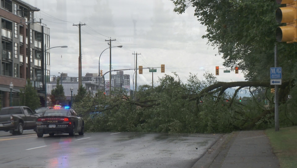 Massive Metro Vancouver Storm Leads To Power Outages, Fallen Trees ...