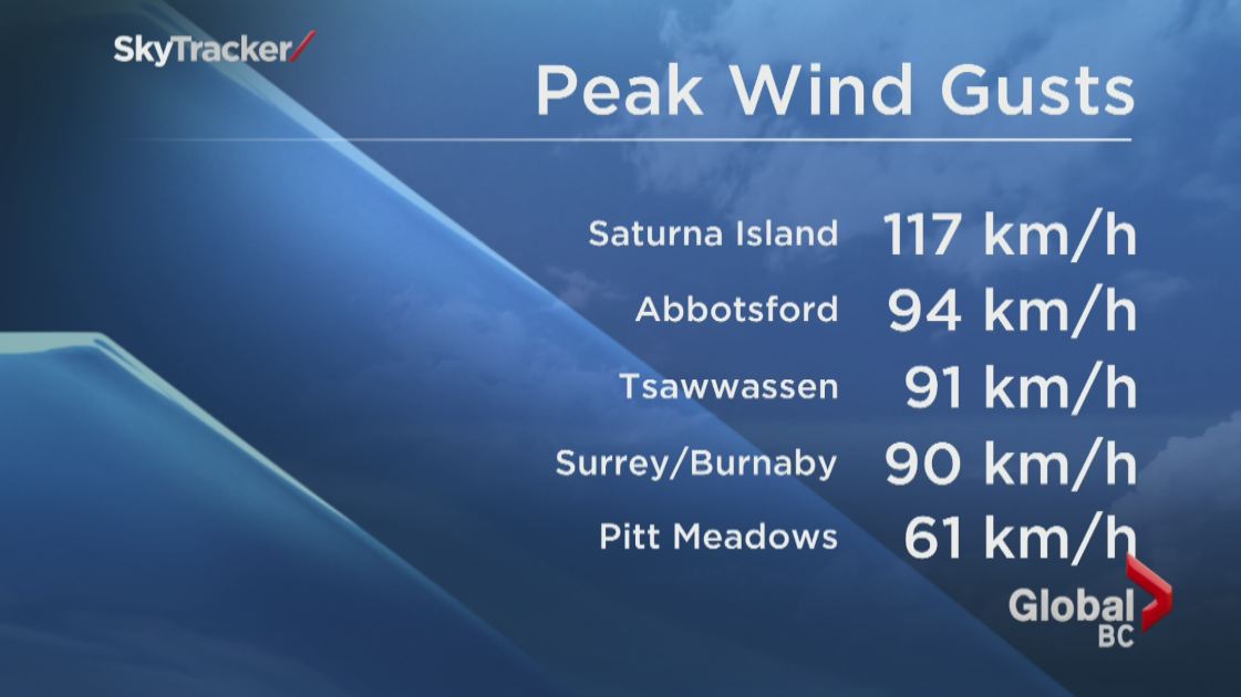 PHOTOS: Largest South Coast storm in a decade causes mass power outages - image