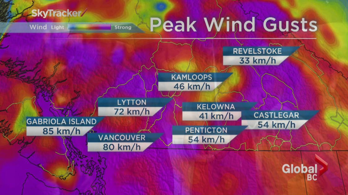 PHOTOS: Largest South Coast storm in a decade causes mass power outages - image