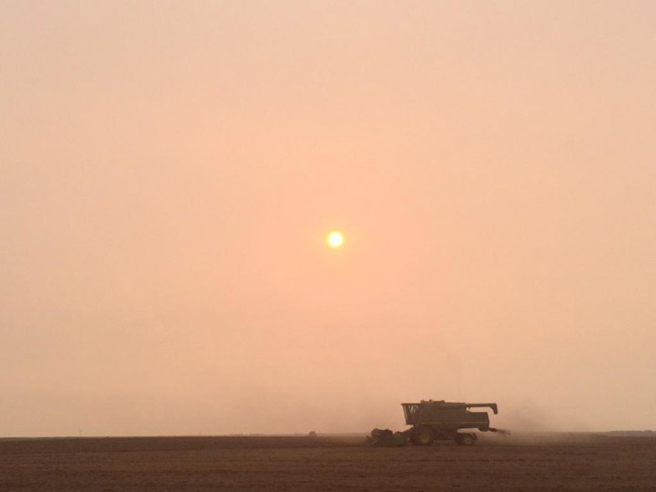 Sept. 3: This Your Saskatchewan photo was taken by Aaron Spence near Outlook.