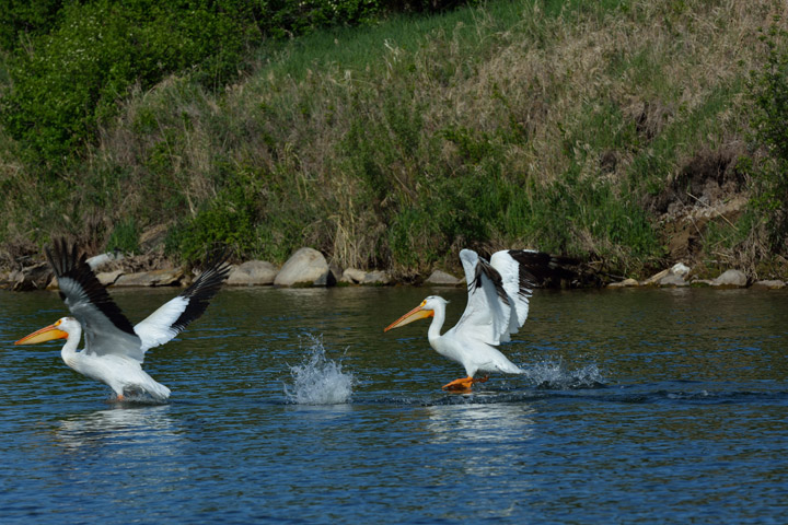 Sept. 8: This Your Saskatchewan picture was taken by Bob Green at Blackstrap Lake.