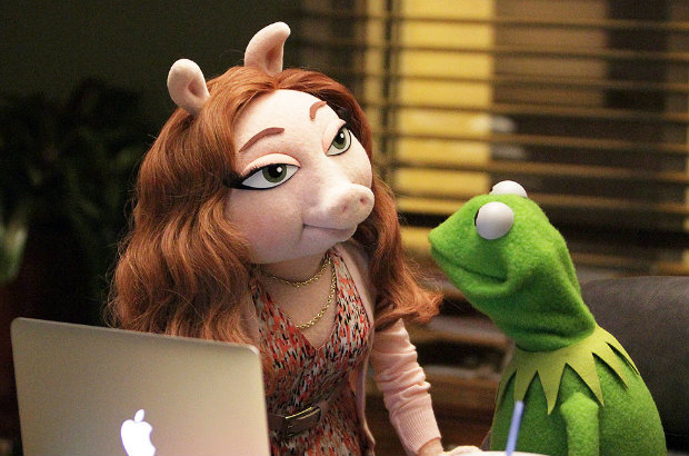 Kermit the Frog has a new girlfriend - image