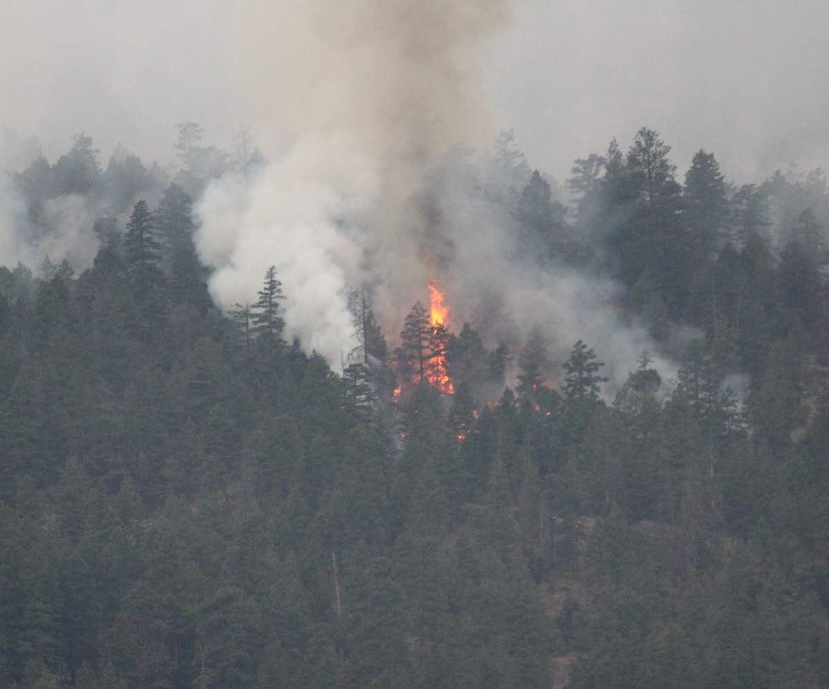 Trees are seen candling Monday morning from the Testalinden Creek Wildfire.