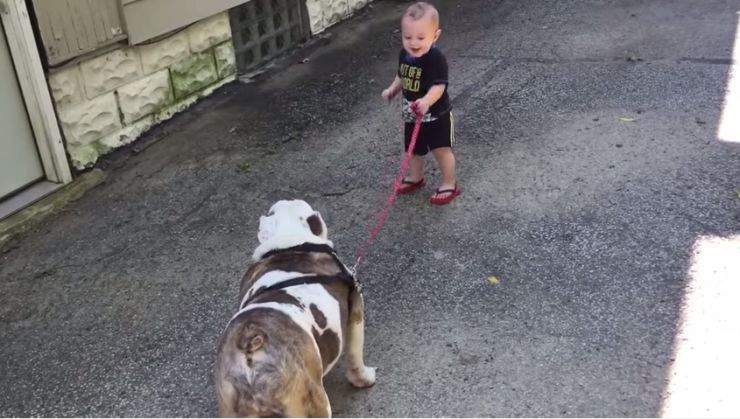 What's cuter than babies and dogs together? .