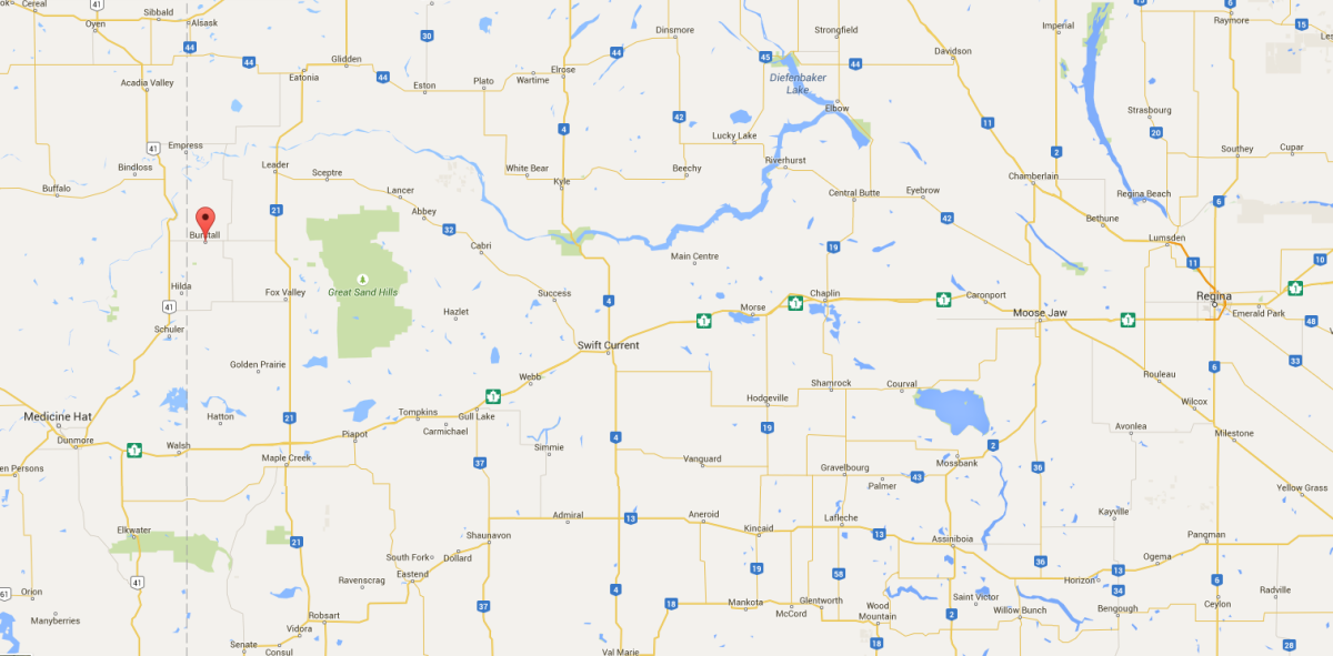 Sask. teen and 62-year-old killed in farming accident - image