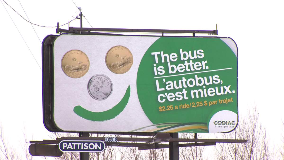 Moncton’s Codiac Transpo sees ridership increase - image