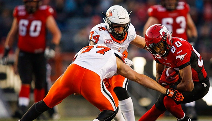 Stampeders protect perfect home record - image