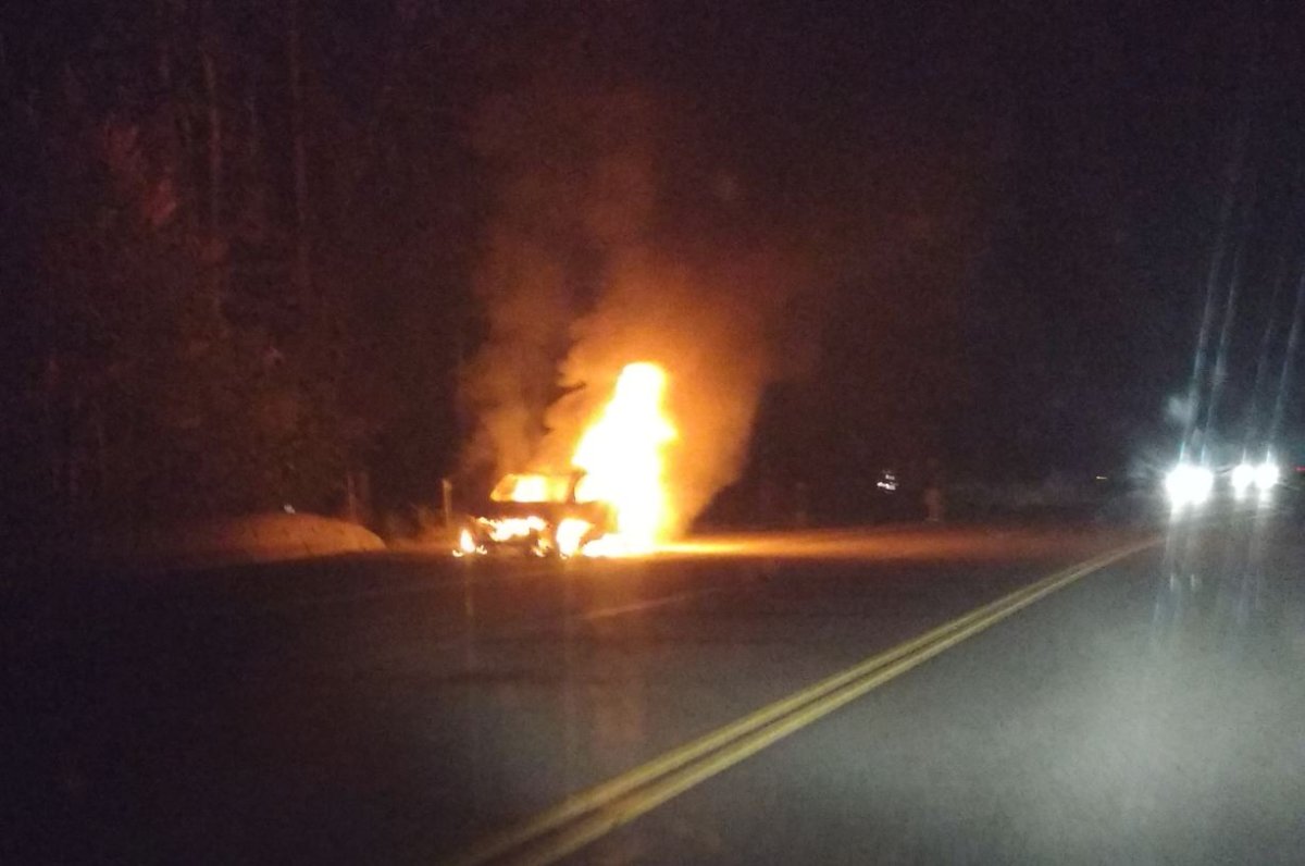 Man escapes car before it goes up in flames near Sicamous - image