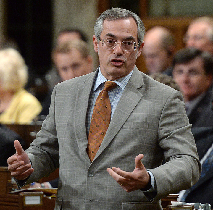 Tony Clement answers a question during Question Period in the House of Commons in Ottawa on Thursday, June 4, 2015. 