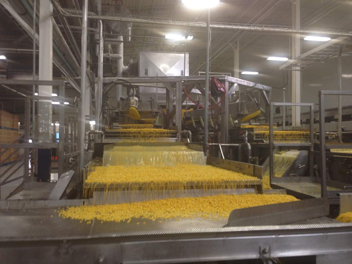 Canada’s leading frozen vegetable producer holds grand opening in Lethbridge - image