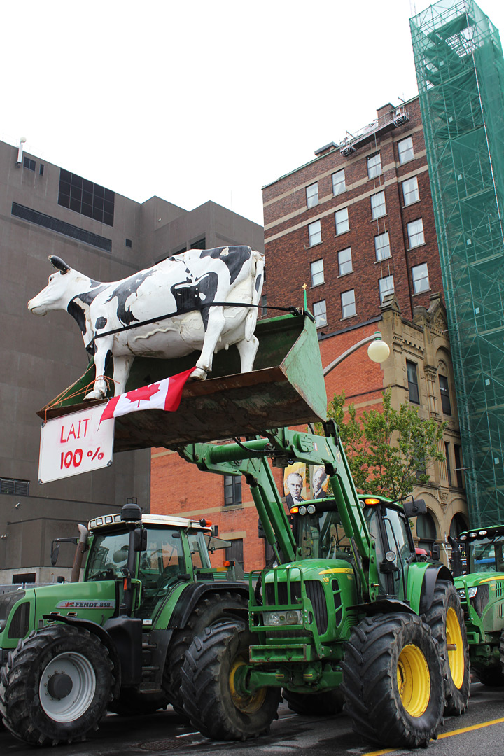 Farmers bring tractors, cows to Parliament Hill to express TPP fears
