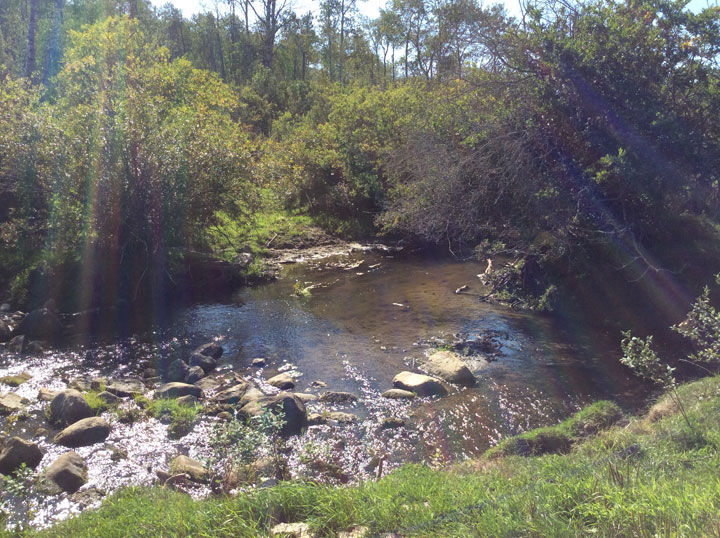 September 5: This Your Saskatchewan photo was taken by Jane Davis at Jackfish Creek.