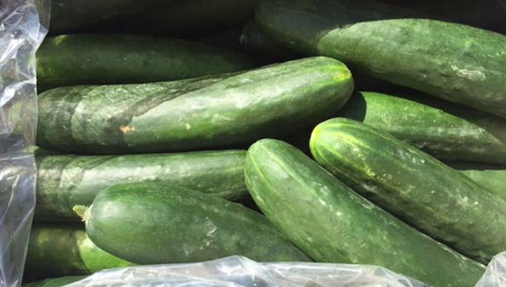 Field cucumbers, in-store products sold at Safeway stores from Ontario to B.C. recalled due to possible salmonella contamination.