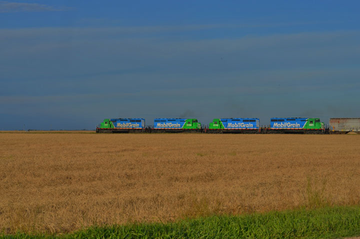 September 26: This Your Saskatchewan photo was taken by Anne de Zeeuw near Delisle.