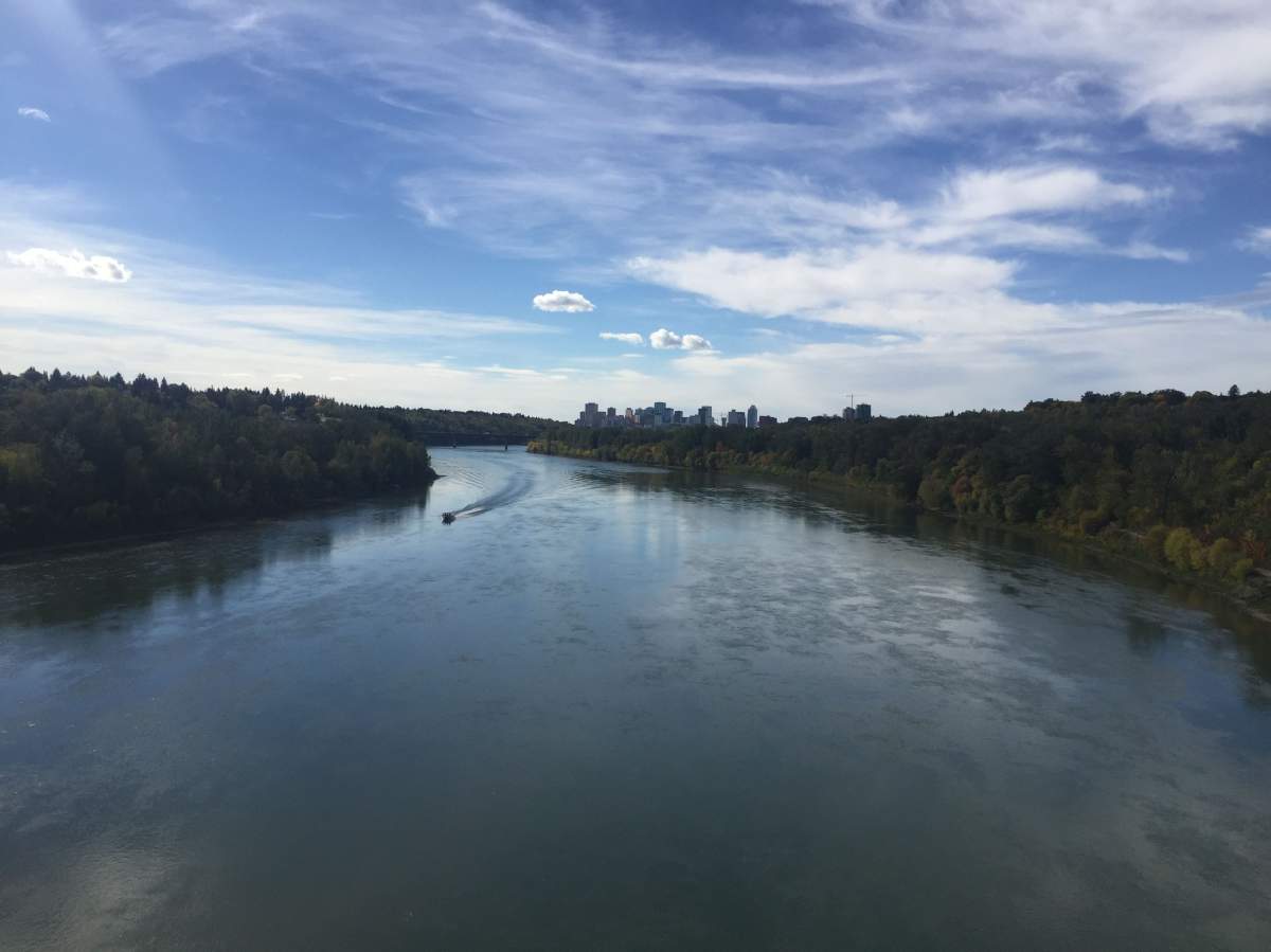 The view of the Edmonton river valley from the 50th street footbridge on Friday September 18, 2015.
