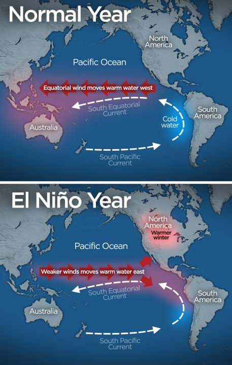 El Niño Event Will Lead To Coastal Flooding And Erosion Of Bcs Coast