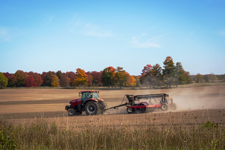 Why do leaves change colour in the fall? - image