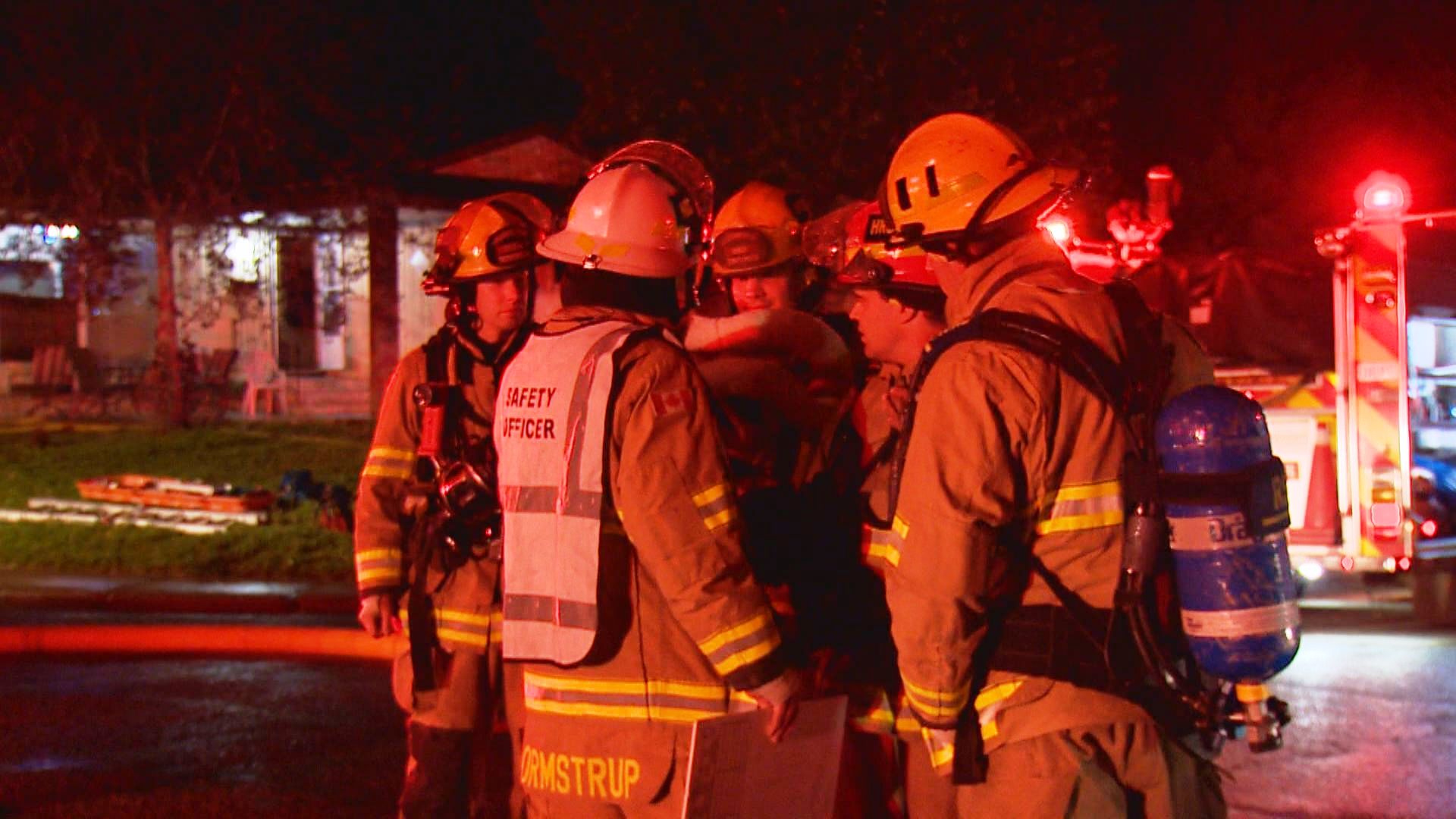 Litter of kittens rescued from Calgary house fire | Globalnews.ca