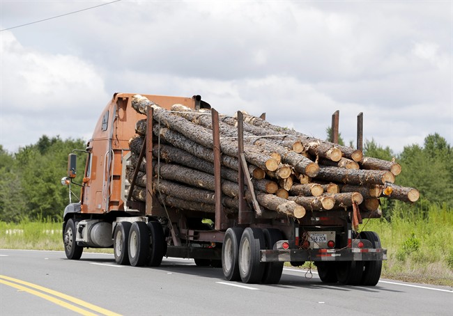 Saskatchewan government issues new timber allocations to support upstart mill