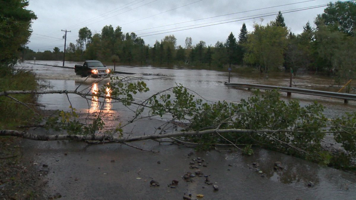 New Brunswick program to help fund repairs for rain, flood damage - image