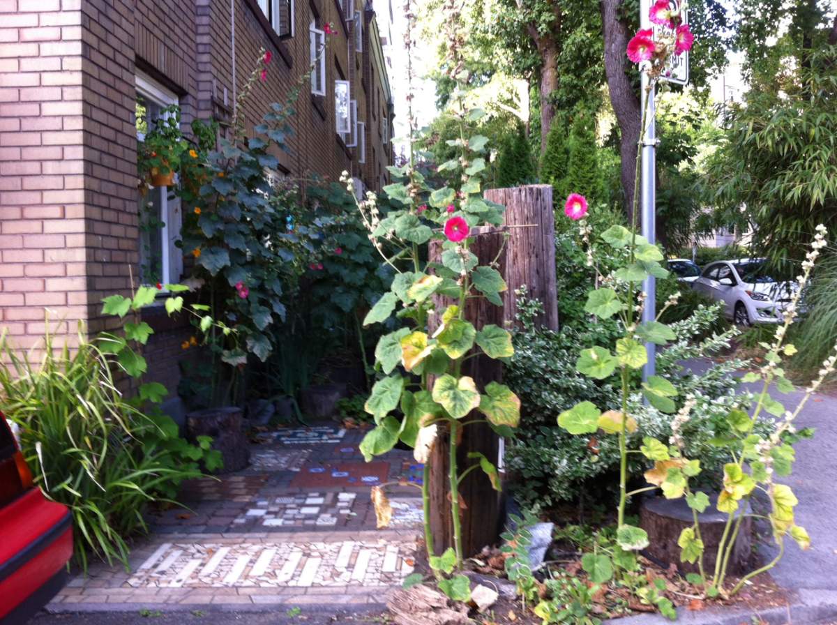 Jane Hambrook’s garden at Bute and Barclay.