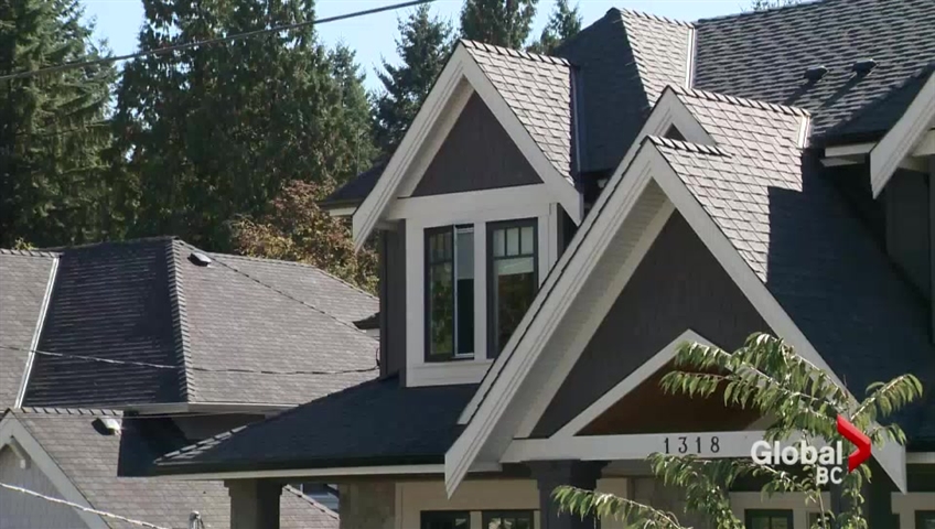 A Coquitlam councillor is raising concerns over what she's calling a committee of developers - which other councillors say isn't entirely accurate.