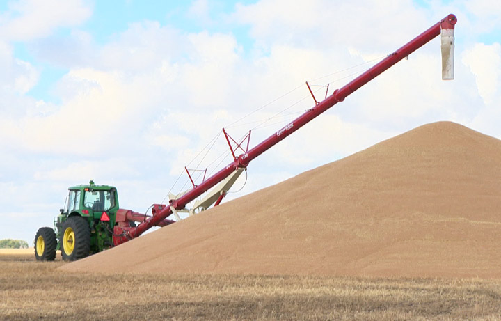 The Saskatchewan Wheat Development Commission wants grain transportation to be a federal election issue.