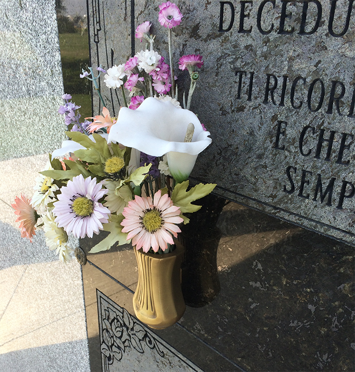 You are allowed to bring cremated remains in a cremation container or urn on the plane.