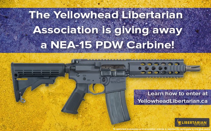 Libertarian candidate Cory Lystang is raffling off this semi-automatic AR 15 carbine to raise money for his election campaign.