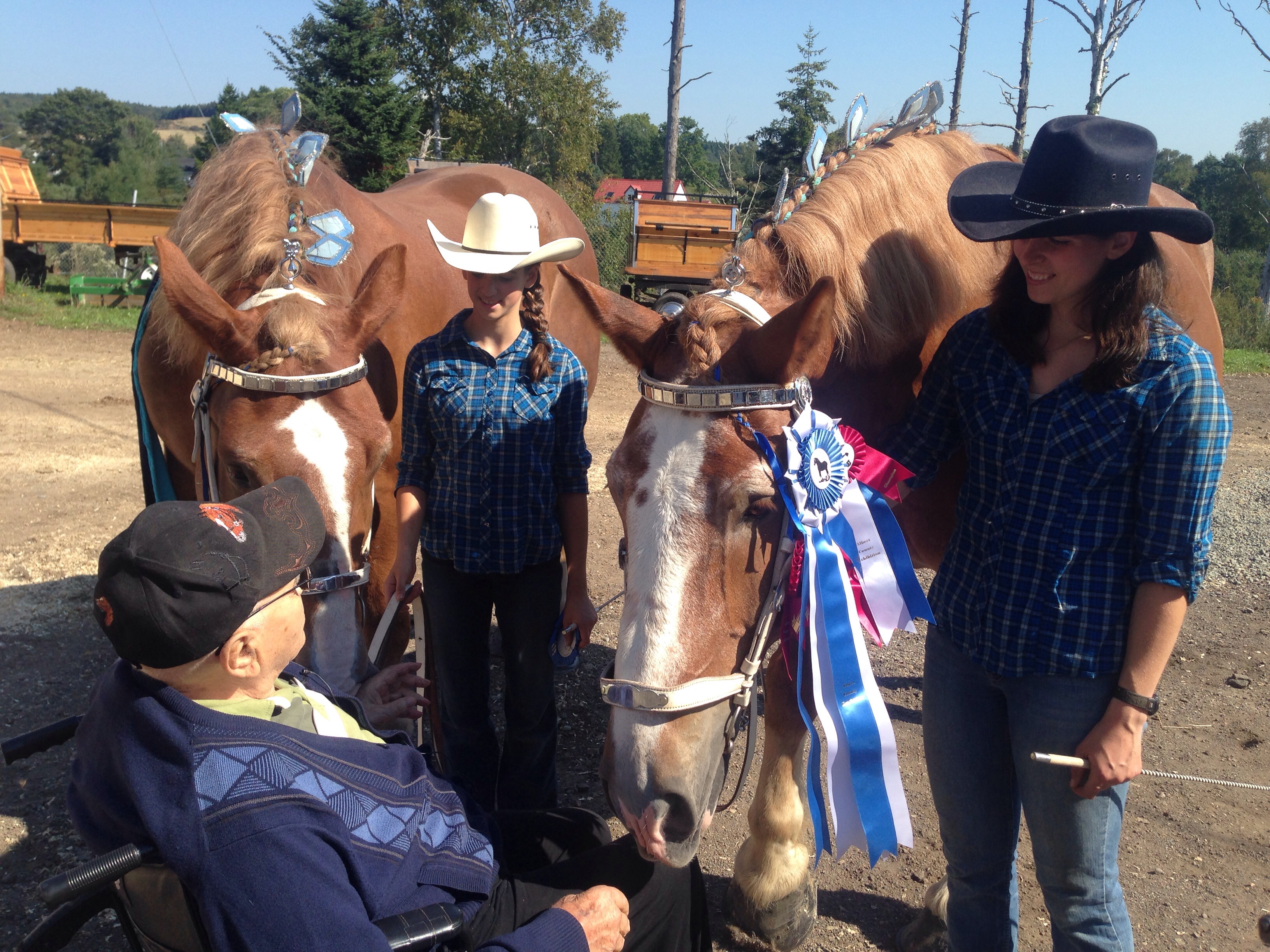 N.B. Horse Breeder Determined To Carry On Tradition At The Albert ...