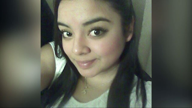 Texas woman killed by drunk driver while moving turtle from road - image