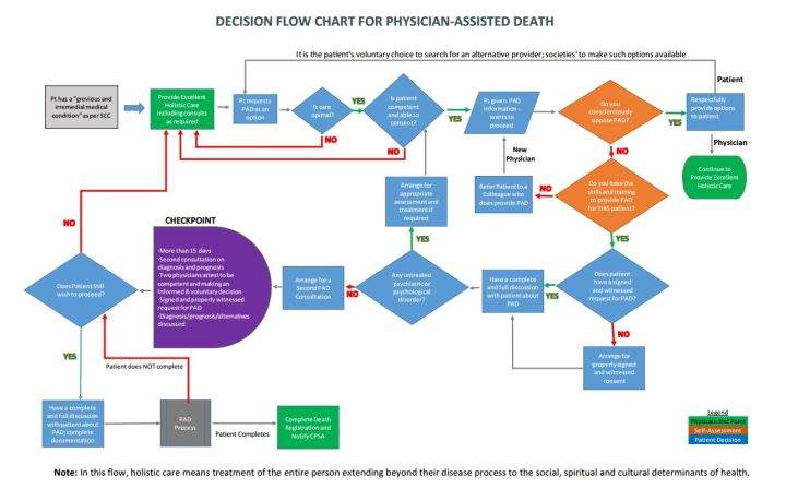 PhysicianAssistedFlowChart