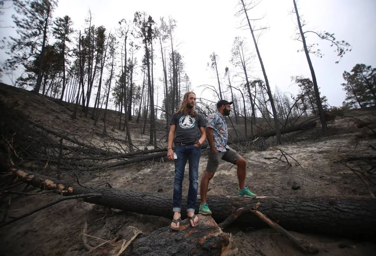 Ponderosa Music Festival organizers  Kris Hargrave and Kia Zahrabi standing in the burned remains from the Rock Creek fire.