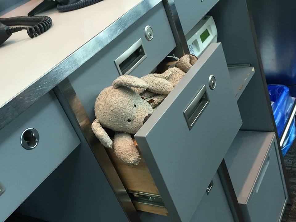 Toronto airport staff document lost teddy bear’s trek home - image
