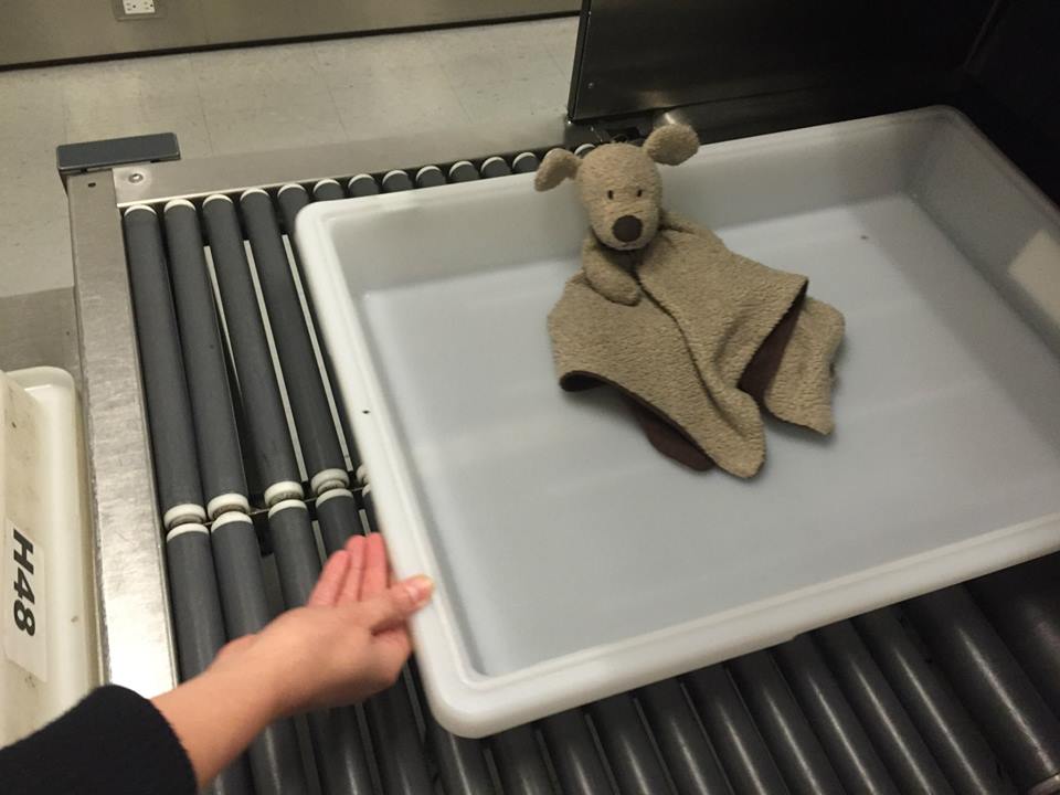 Toronto airport staff document lost teddy bear’s trek home - image