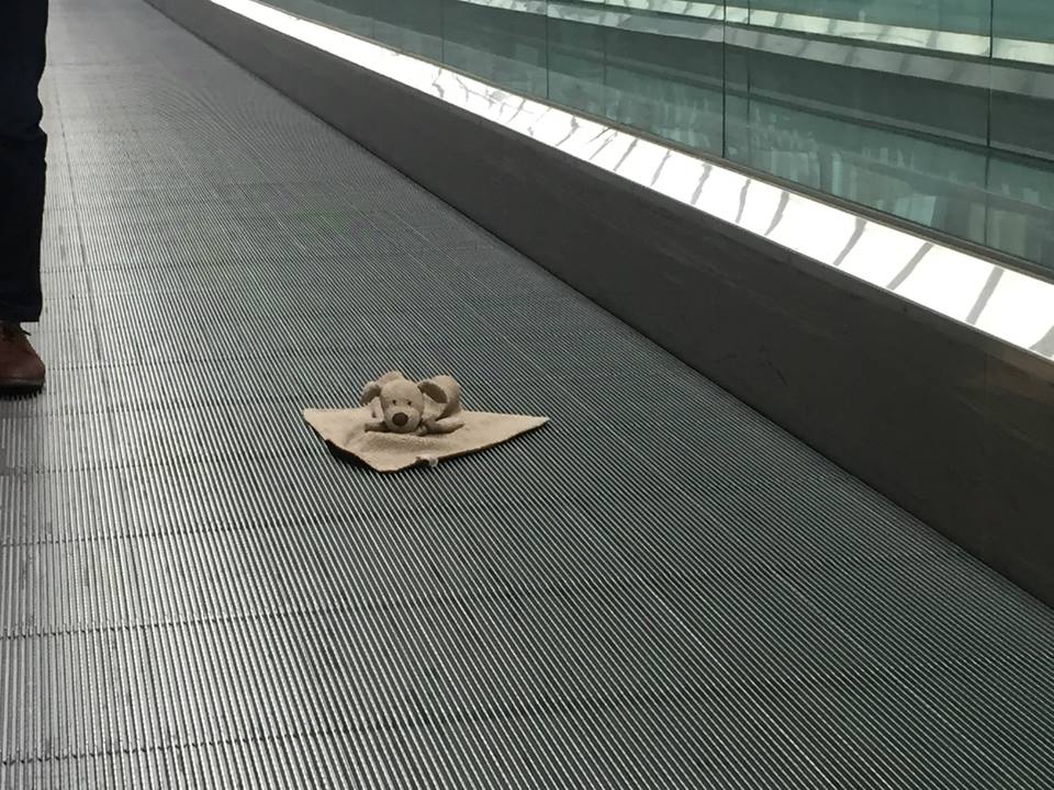 Toronto airport staff document lost teddy bear’s trek home - image