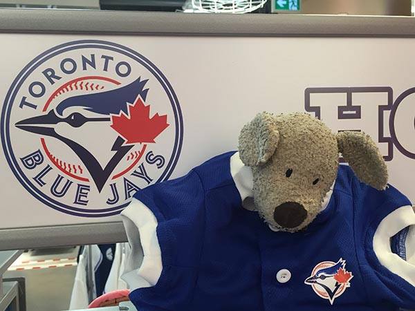 Toronto airport staff document lost teddy bear’s trek home - image