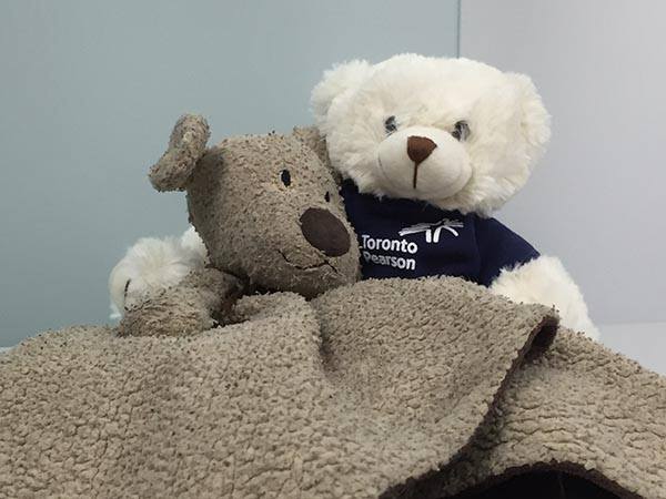 Toronto airport staff document lost teddy bear’s trek home - image