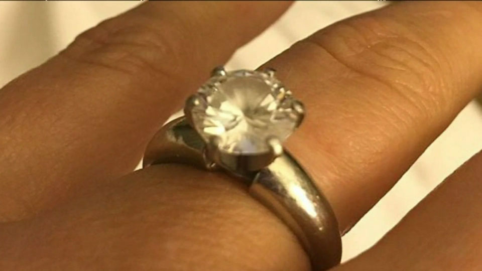 Australian dog with expensive taste eats owner’s 2.5-carat ring - image