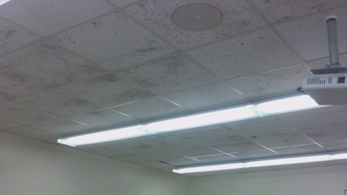 Mouldy school means delayed opening for some Halifax students - image
