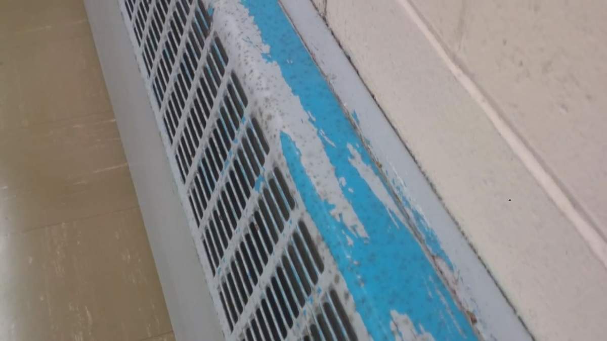 Mouldy school means delayed opening for some Halifax students - image