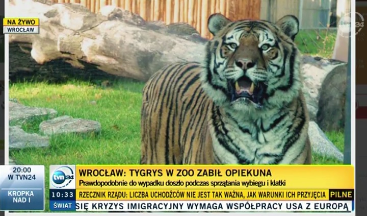 A police spokesman says a tiger has fatally wounded a keeper at a zoo in Wroclaw, southwestern Poland.