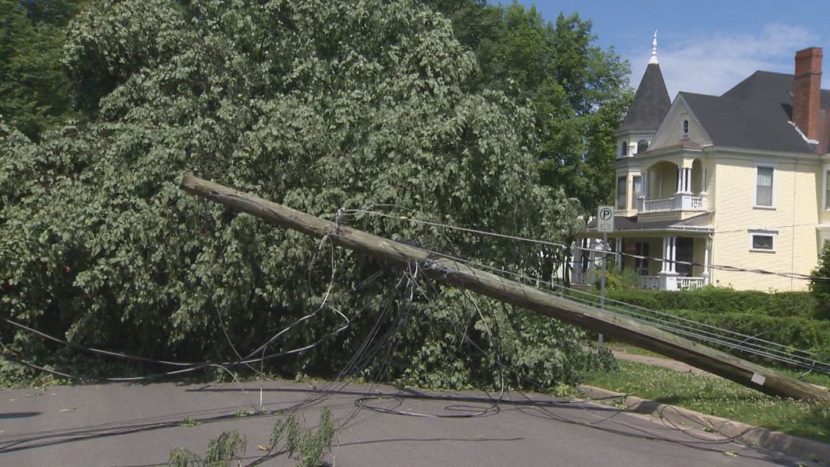 Post-tropical storm Arthur hit Nova Scotia last year, resulting in power outages after trees and branches hit power lines. 