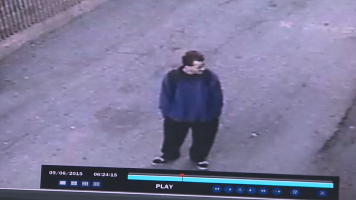 UPDATE: Alleged Vernon pet store arsonist also face sexual assault charges - image